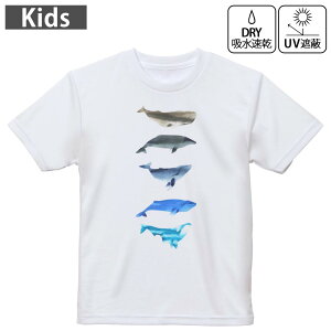 LbY hCTVc zCg  4.1IX g[jO X|[c W ^ hCAX`bN UVJbg OՕ z 120 130 140 150 160 015831 @C@@V`