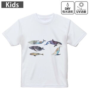 LbY hCTVc zCg  4.1IX g[jO X|[c W ^ hCAX`bN UVJbg OՕ z 120 130 140 150 160 015835 @C@@V`