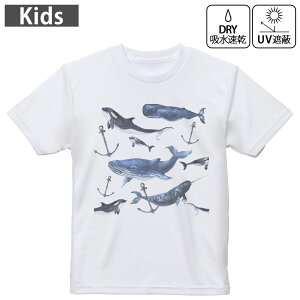 LbY hCTVc zCg  4.1IX g[jO X|[c W ^ hCAX`bN UVJbg OՕ z 120 130 140 150 160 015837 @C@@V`