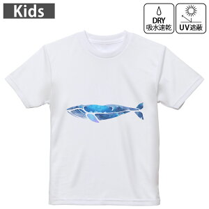 LbY hCTVc zCg  4.1IX g[jO X|[c W ^ hCAX`bN UVJbg OՕ z 120 130 140 150 160 015860 @C@