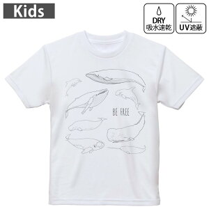 LbY hCTVc zCg  4.1IX g[jO X|[c W ^ hCAX`bN UVJbg OՕ z 120 130 140 150 160 015861 @C@