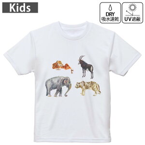 LbY hCTVc zCg  4.1IX g[jO X|[c W ^ hCAX`bN UVJbg OՕ z 120 130 140 150 160 015881 @animal@Aj}