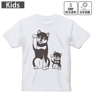 LbY hCTVc zCg  4.1IX g[jO X|[c W ^ hCAX`bN UVJbg OՕ z 120 130 140 150 160 016087 @dog@킢