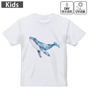 LbY hCTVc zCg  4.1IX g[jO X|[c W ^ hCAX`bN UVJbg OՕ z 120 130 140 150 160 017506 Aj} @~@C