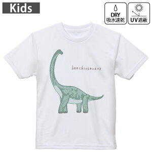 LbY hCTVc zCg  4.1IX g[jO X|[c W ^ hCAX`bN UVJbg OՕ z 120 130 140 150 160 017562 _Ci\[ _Ci\[@@Dinos