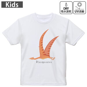 LbY hCTVc zCg  4.1IX g[jO X|[c W ^ hCAX`bN UVJbg OՕ z 120 130 140 150 160 017693  vemh@Pteranodon@