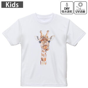 LbY hCTVc zCg  4.1IX g[jO X|[c W ^ hCAX`bN UVJbg OՕ z 120 130 140 150 160 017749 Aj} iف@@Giraffe@