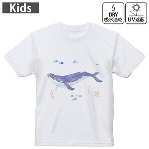 LbY hCTVc zCg  4.1IX g[jO X|[c W ^ hCAX`bN UVJbg OՕ z 120 130 140 150 160 017806 C̒@ @C̒@