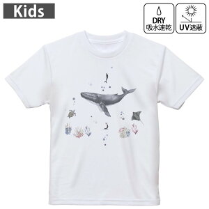 LbY hCTVc zCg  4.1IX g[jO X|[c W ^ hCAX`bN UVJbg OՕ z 120 130 140 150 160 019001 NW