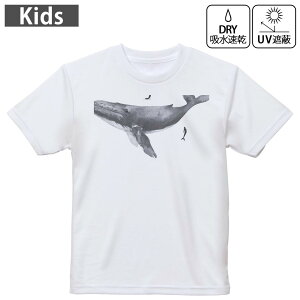 LbY hCTVc zCg  4.1IX g[jO X|[c W ^ hCAX`bN UVJbg OՕ z 120 130 140 150 160 019002 NW