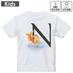 LbY hCTVc zCg  4.1IX g[jO X|[c W ^ hCAX`bN UVJbg OՕ z 120 130 140 150 160 019456  n At@xbg