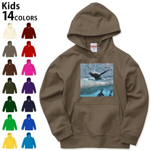 Iׂ14J[ p[J[ XEFbg LbY jp j̎q ̎q jZbNX unisex  fUC@u 110 130 150 parker sweat 004897 Aj} C@~@ʐ^