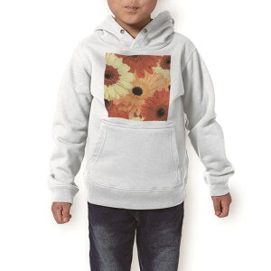 p[J[ LbY zCg O[ ubN fUC 110 130 150 parker hooded sweatshirt t[fB @@DF q j̎q ̎q 000990 ԁ@K[x