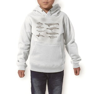 p[J[ LbY zCg O[ ubN fUC 110 130 150 parker hooded sweatshirt t[fB @@DF q j̎q ̎q 015815 @NW@V`