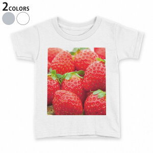 tVc LbY  n fUC 90 100 110 120 130 140 150 TVc eB[Vc T shirt 000149 䕁@@ԁ@ʕ