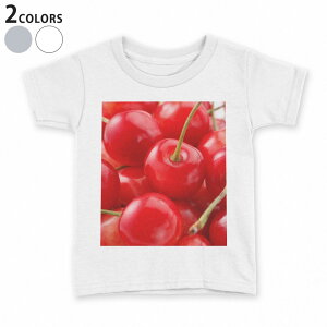 tVc LbY  n fUC 90 100 110 120 130 140 150 TVc eB[Vc T shirt 001597 ځ@ʎ