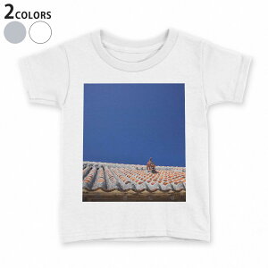 tVc LbY  n fUC 90 100 110 120 130 140 150 TVc eB[Vc T shirt 002774 @V[T[@ʐ^