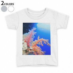tシャツ キッズ 半袖 白地 デザイン 90 100 110 120 130 140 150 Tシャツ ティーシャツ T shirt 003341 海 写真 景色 風景