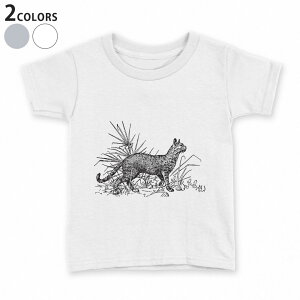 tVc LbY  n q tVc fUC 90 100 110 120 130 140 150 TVc eB[Vc T shirt 022699 L 킢