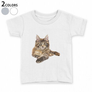 tVc LbY  n q tVc fUC 90 100 110 120 130 140 150 TVc eB[Vc T shirt 022707 L 킢