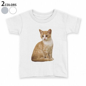 tVc LbY  n q tVc fUC 90 100 110 120 130 140 150 TVc eB[Vc T shirt 022716 L 킢