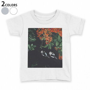 t�V���c �L�b�Y ���� ���n �q���� t�V���c �f�U�C�� 90 100 110 120 130 140 150 T�V���c �e�B�[�V���c T shirt 022841 �ʐ^�@�H�@���]��