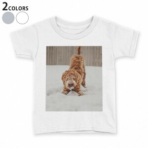 tVc LbY  n q tVc fUC 90 100 110 120 130 140 150 TVc eB[Vc T shirt 022864 @@ʐ^