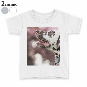 tVc LbY  n q tVc fUC 90 100 110 120 130 140 150 TVc eB[Vc T shirt 023189 @@ʐ^