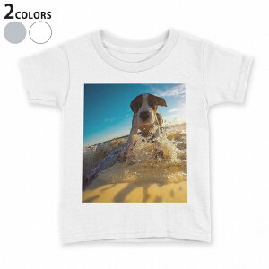 tVc LbY  n q tVc fUC 90 100 110 120 130 140 150 TVc eB[Vc T shirt 023217 @T[tB@C@ʐ^