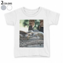 楽天市場】スケボー Tシャツ（キッズ・ベビー・マタニティ）の通販