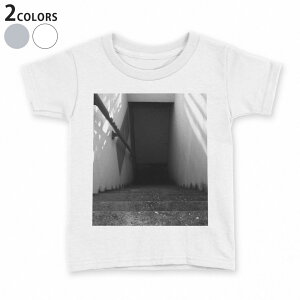 tVc LbY  n q tVc fUC 90 100 110 120 130 140 150 TVc eB[Vc T shirt 023834 Ki@ʐ^