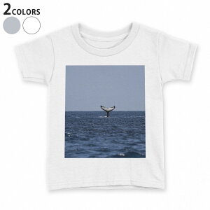 tVc LbY  n q tVc fUC 90 100 110 120 130 140 150 TVc eB[Vc T shirt 023965 @ʐ^@C