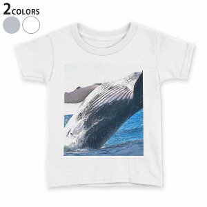 tVc LbY  n q tVc fUC 90 100 110 120 130 140 150 TVc eB[Vc T shirt 023966 @ʐ^@C