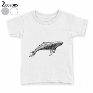 tVc LbY  n fUC 90 100 110 120 130 140 150 TVc eB[Vc T shirt 032232 ~