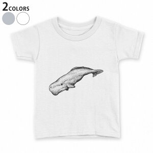 tVc LbY  n fUC 90 100 110 120 130 140 150 TVc eB[Vc T shirt 032234 ~