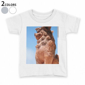 tVc LbY  n fUC 90 100 110 120 130 140 150 TVc eB[Vc T shirt 004542 V[T[@@ʐ^