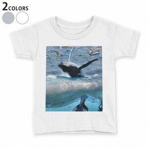 tVc LbY  n fUC 90 100 110 120 130 140 150 TVc eB[Vc T shirt 004897 C@~@ʐ^