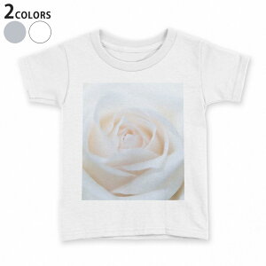 t�V���c �L�b�Y ���� ���n �f�U�C�� 90 100 110 120 130 140 150 T�V���c �e�B�[�V���c T shirt 005080 ���@�K�N�@�ʐ^