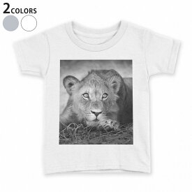 tシャツ キッズ 半袖 白地 デザイン 110 120 130 140 150 Tシャツ ティーシャツ T shirt 007626 写真　モノクロ　ライオン