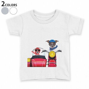 tVc LbY  n fUC 90 100 110 120 130 140 150 TVc eB[Vc T shirt 008126 ʐ^@@oCN@ԁ@bh