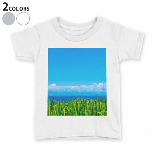 tVc LbY  n fUC 90 100 110 120 130 140 150 TVc eB[Vc T shirt 009748 i@@C@ʐ^