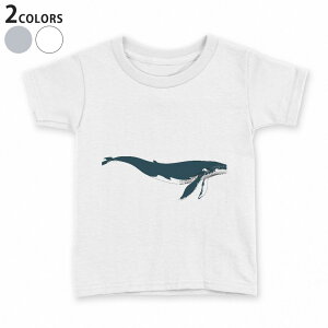 tVc LbY  n fUC 90 100 110 120 130 140 150 TVc eB[Vc T shirt 011425 C@@