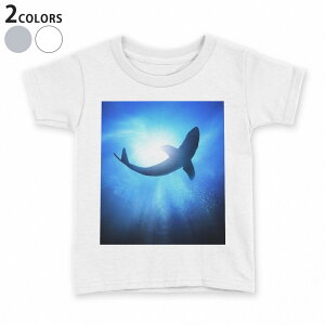 tVc LbY  n fUC 90 100 110 120 130 140 150 TVc eB[Vc T shirt 012652 @@C