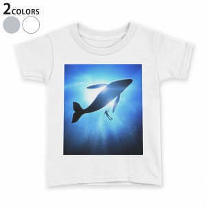 tVc LbY  n fUC 90 100 110 120 130 140 150 TVc eB[Vc T shirt 012663 NW@VGbg@_CrO