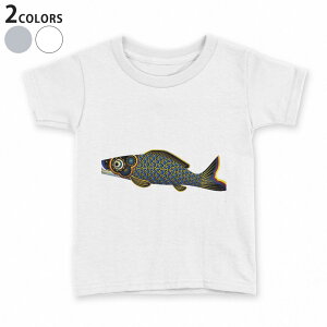 tVc LbY  n fUC 90 100 110 120 130 140 150 TVc eB[Vc T shirt 013188 @@̂ڂ