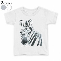 楽天市場】シマウマ tシャツの通販