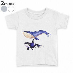 tVc LbY  n fUC 90 100 110 120 130 140 150 TVc eB[Vc T shirt 014703 C@CJ@NW