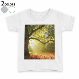 tシャツ キッズ 半袖 白地 デザイン 110 120 130 140 150 Tシャツ ティーシャツ T shirt 014991 景色　自然　風景　写真　木　樹木