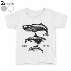 tVc LbY  n fUC 90 100 110 120 130 140 150 TVc eB[Vc T shirt 015819 @@V`