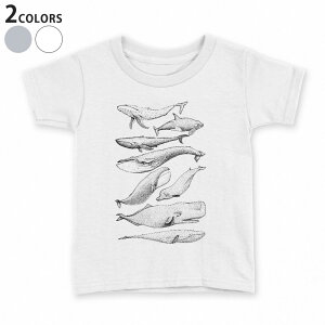 tVc LbY  n fUC 90 100 110 120 130 140 150 TVc eB[Vc T shirt 015827 @C@@V`